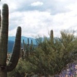 People of Arizona get opportunity to take control of their own lands