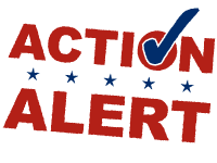 NDAA Action Alert: Virginia Nullification Bill up for Senate vote on Tuesday 02-28.