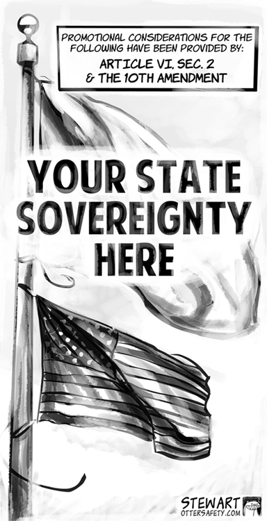 state_sovereignty