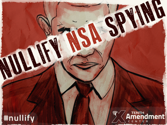 The States: The Front line of Defense Against Centralized Spying