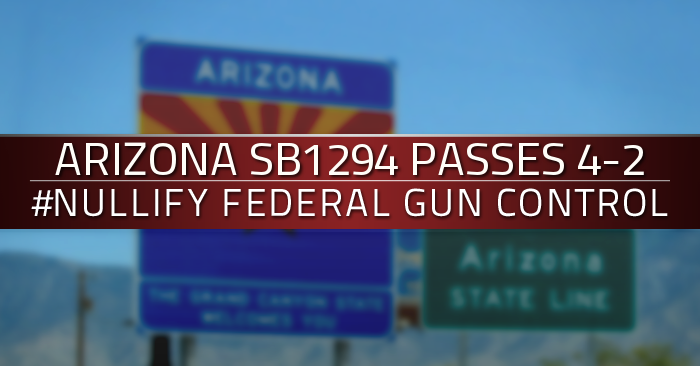Arizona senate committee votes to nullify federal gun control, full senate vote next
