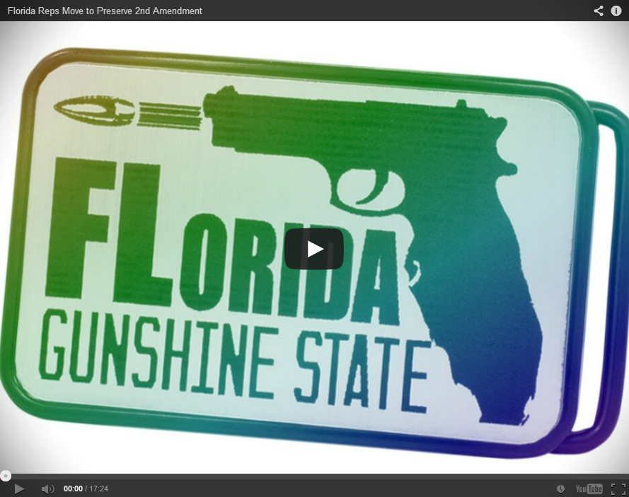 Florida HB733 Could Stop Enforcement of Federal Gun Laws