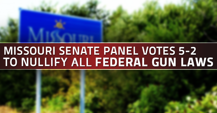 Missouri Senate Panel Approves Nullification of Federal Gun Laws