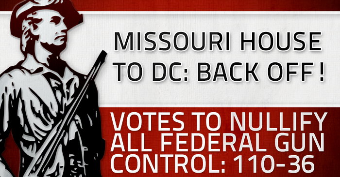 Missouri House votes to nullify all federal gun control measures
