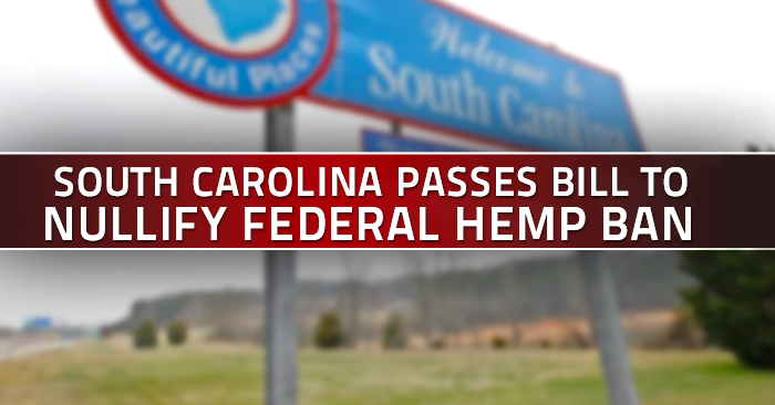 South Carolina passes bill to nullify federal hemp ban