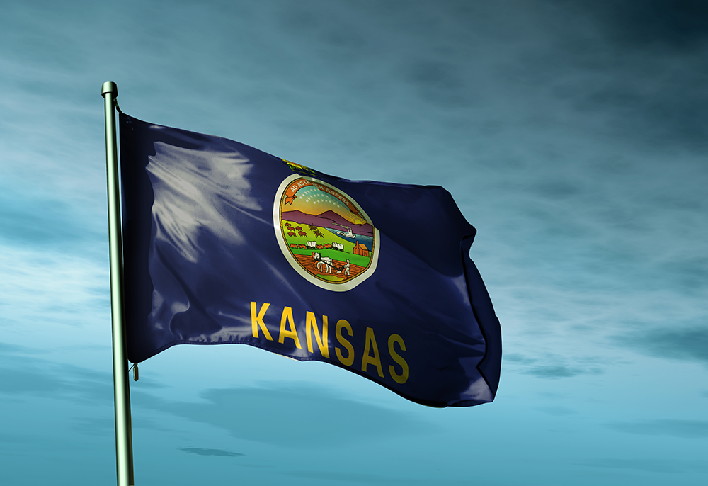Kansas Bill Would Legalize Medical Marijuana; Big Step to Nullify Federal Prohibition in Practice