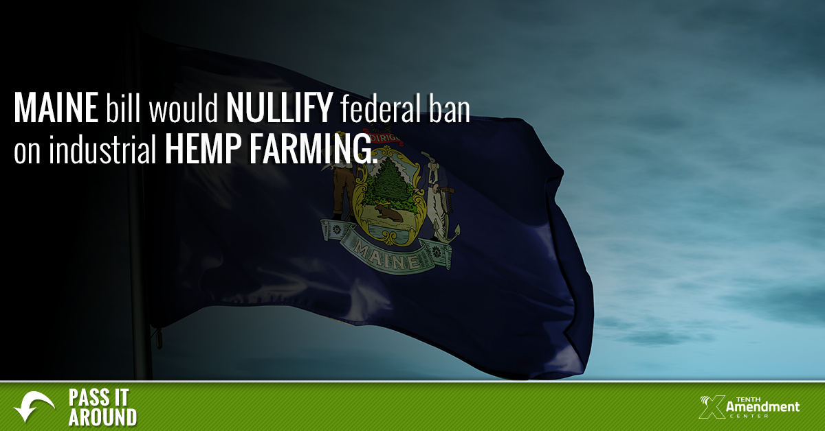 Maine Bill Would Legalize Full-Scale Industrial Hemp Farming, Effectively Nullify Federal Prohibition