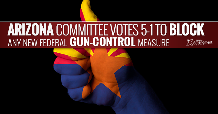 Bill to Block Any New Federal Gun Control Passes Arizona Committee, 5-1