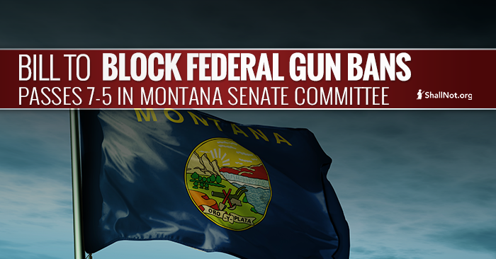 Montana Bill to Block Federal Gun Bans Passes Senate Committee