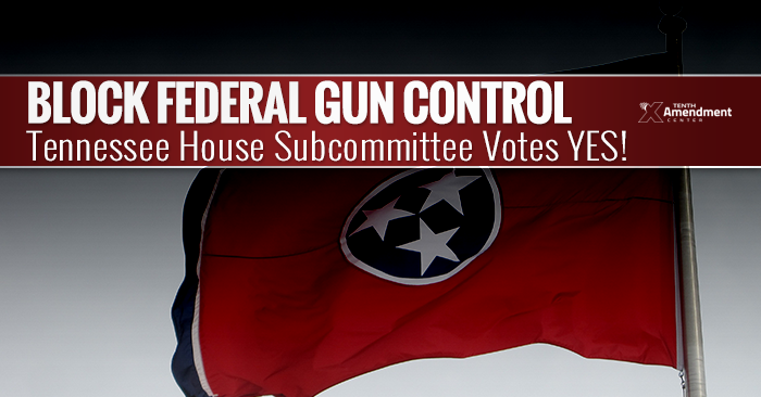 Tennessee Bill to Take on Federal Gun Control Passes House Subcommittee, 4-2