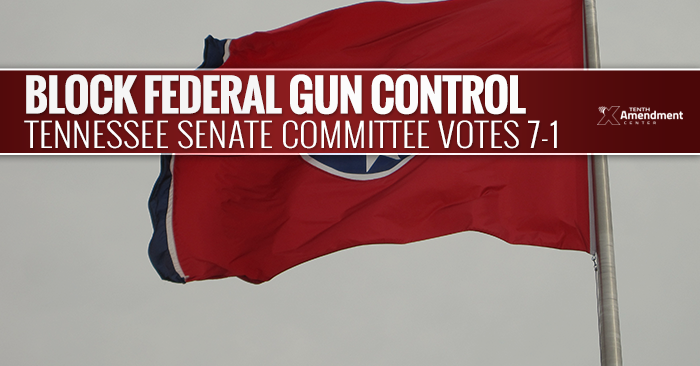 Tennessee Senate Committee Passes Bill to Block Federal Gun Control, 7-1