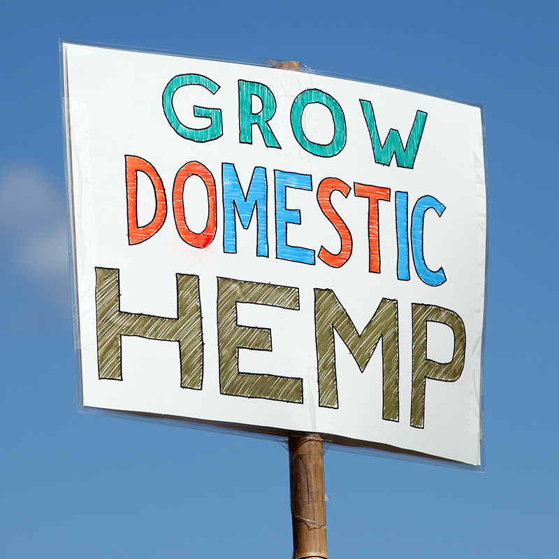 Clarifying Connecticut’s New Hemp Law and Nullification in Practice
