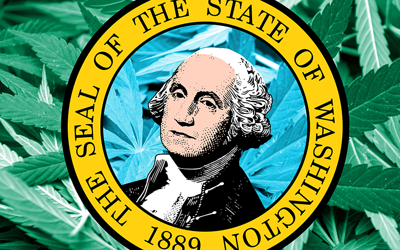 Doomsayers Doomed in Washington State Marijuana Debate