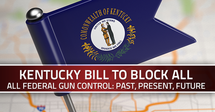 Kentucky Bill Would Nullify All Federal Gun Control