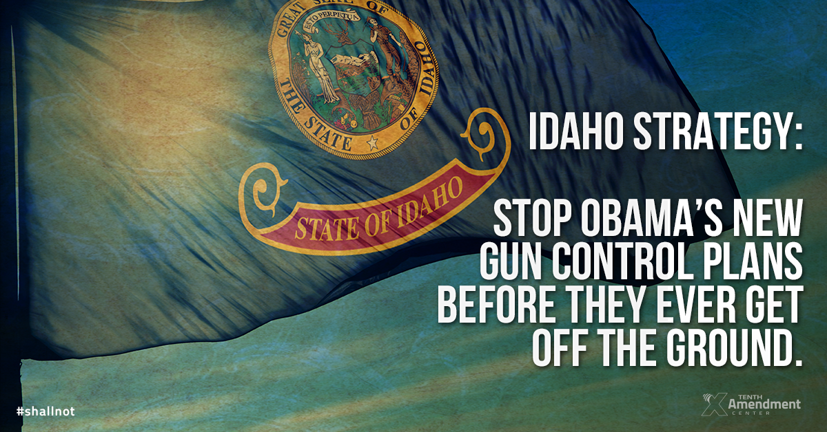 Did You Know? 2014 Idaho Law is a Blueprint to Nullify any New Federal Gun Control