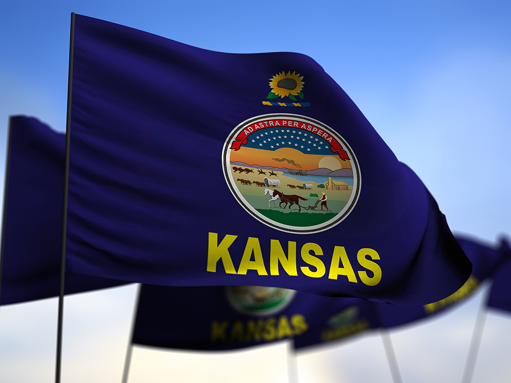 Kansas Bill Would End State Participation In Resettlement of Refugees from Syria and Iraq
