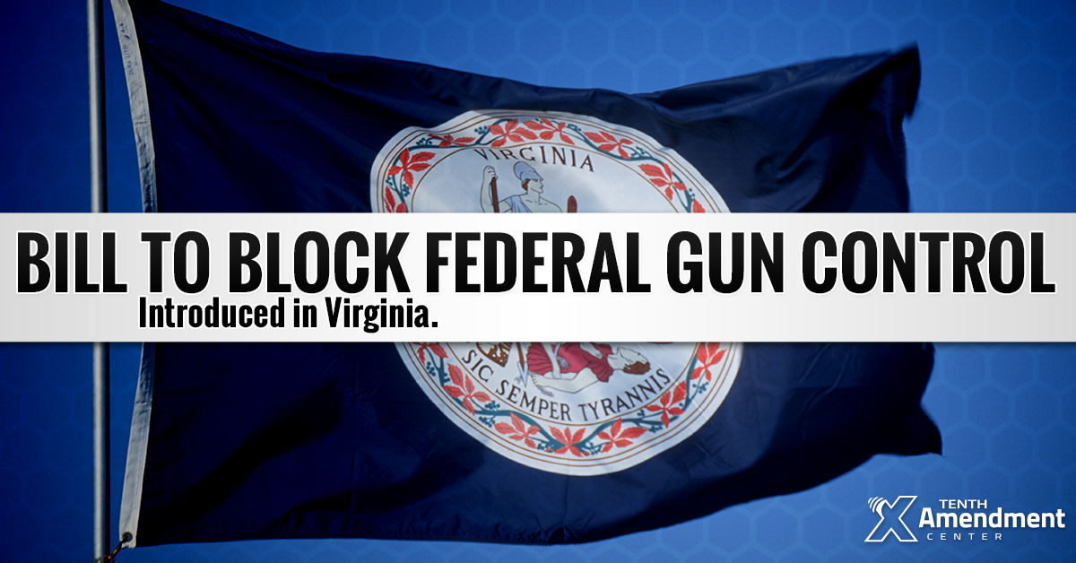 Virginia Bill Would Effectively Nullify Future Federal Gun Control in the State