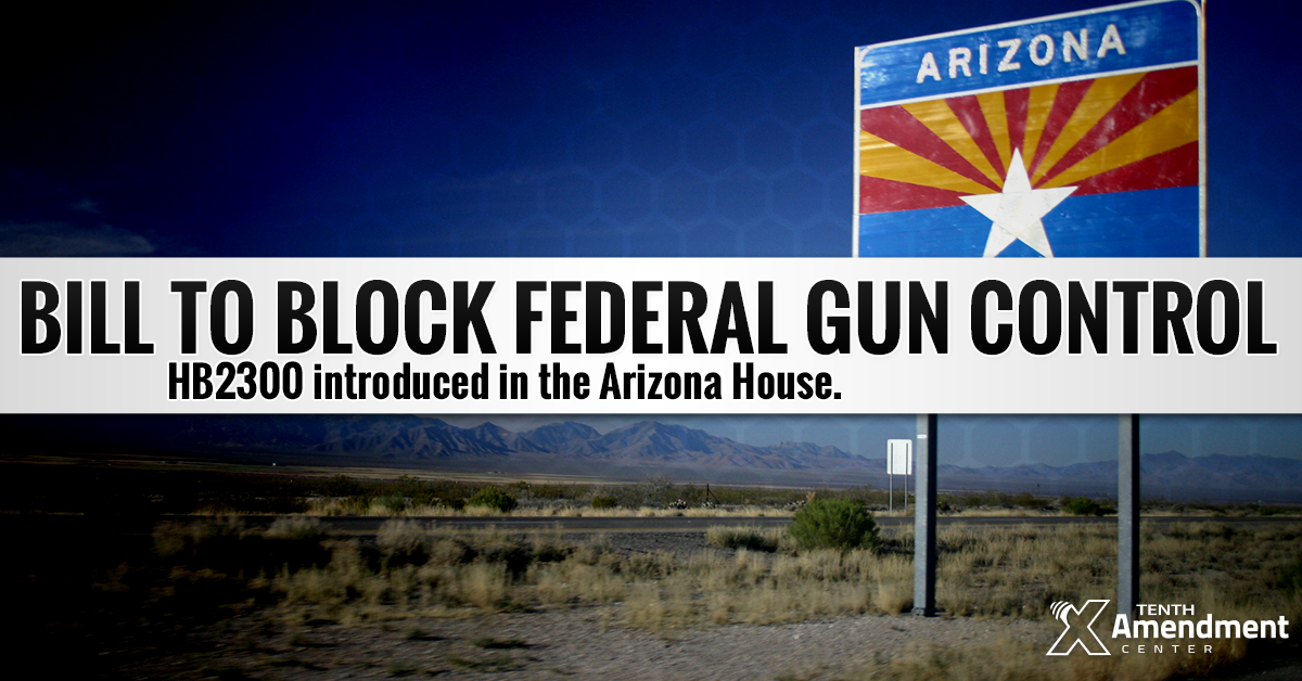 Arizona Bill Would Nullify in Practice All New Federal Gun Control Measures
