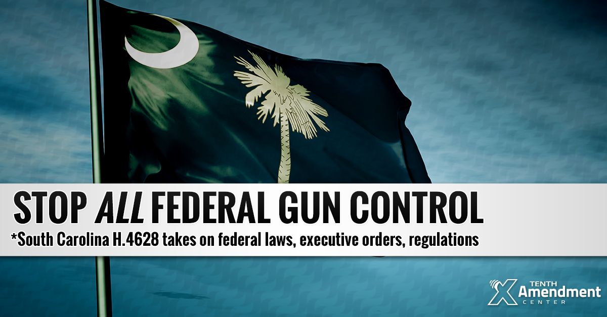 South Carolina Bill Takes on all Federal Gun Control Measures