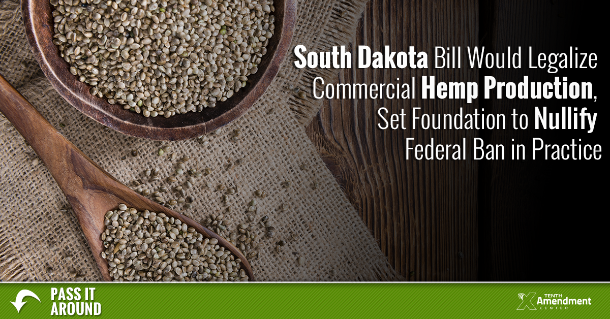 South Dakota Bill Would Legalize Commercial Hemp Production, Set Foundation to Nullify Federal Ban in Practice