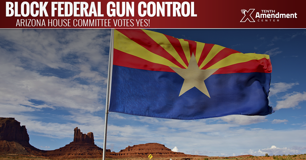 Arizona Committee Passes Bill to Thwart any new Federal Gun Control