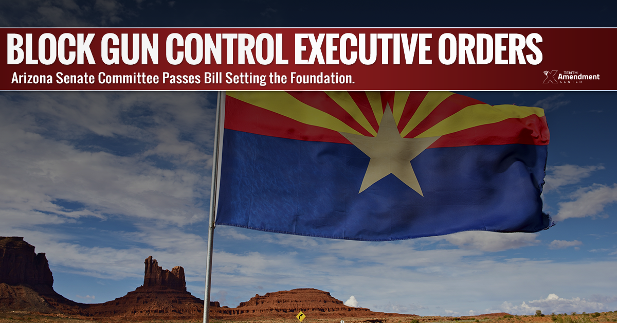 Arizona Committee Passes Bill that Sets Foundation to Block Gun Control Executive Orders