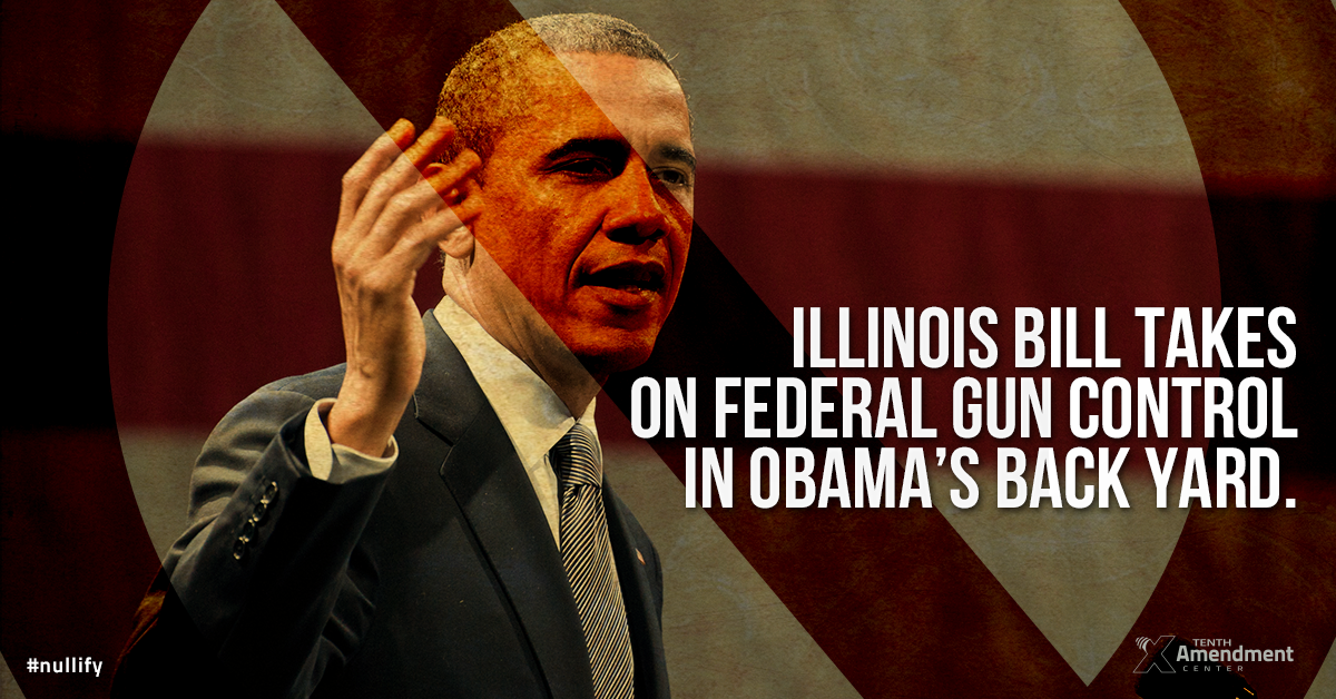 Illinois Bill Takes on All Future Federal Gun Control