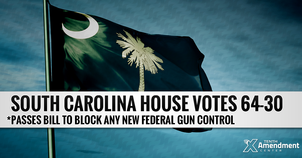 South Carolina House Passes Bill Taking on any new Federal Gun Control Measures