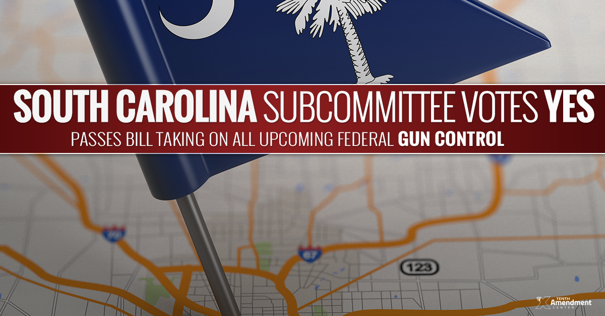 South Carolina Senate Subcommittee Passes Bill Taking on all Upcoming Federal Gun Control Measures