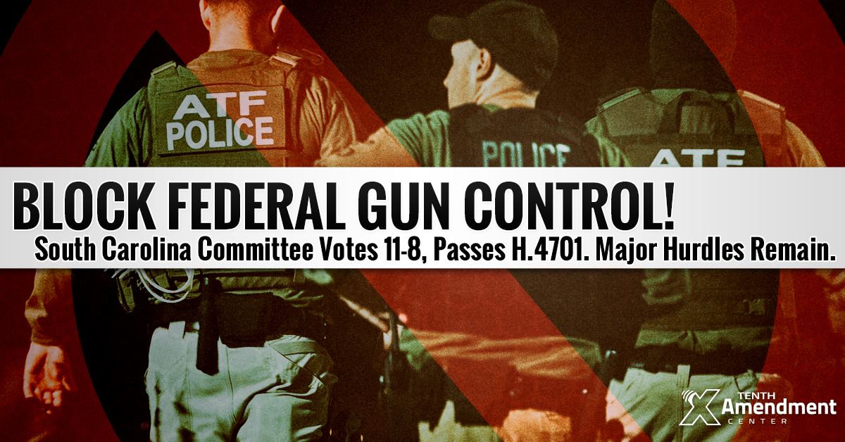 South Carolina Senate Committee Passes Bill Taking on all Upcoming Federal Gun Control Measures
