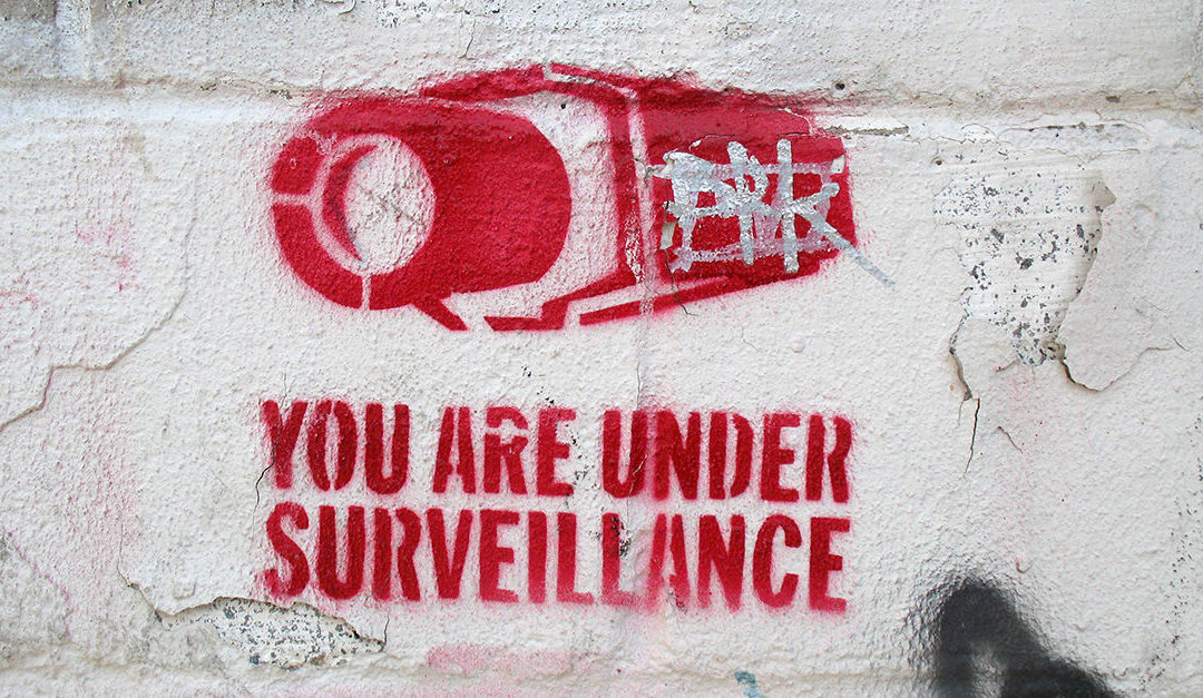 Fighting the Surveillance State in My Own Back Yard: Interview with Scott Horton
