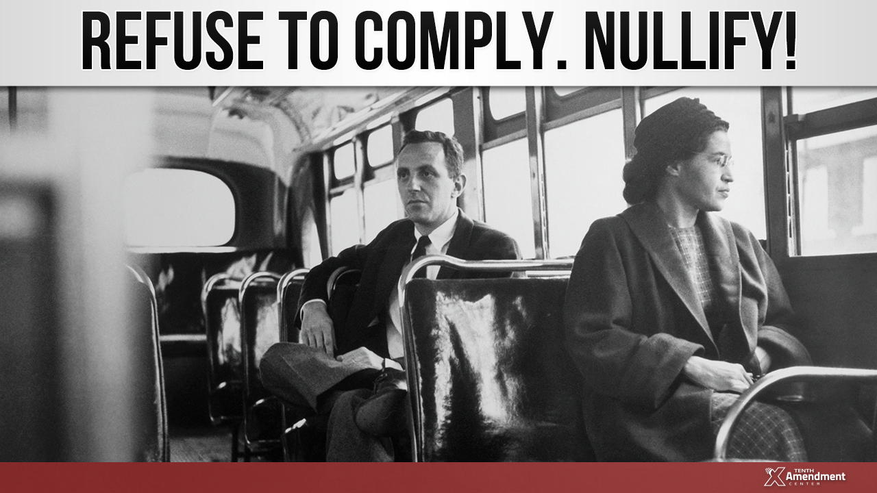 Nullify Chapter 8: Lessons from Rosa Parks