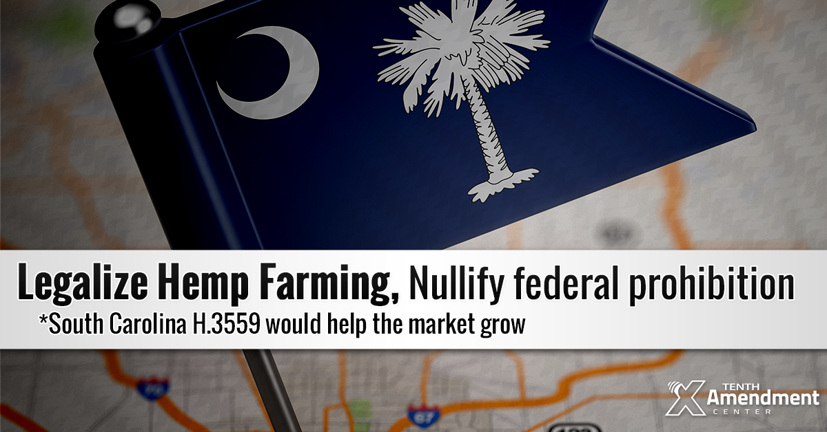 South Carolina Bill Would Create Hemp Program, Foundation to Nullify Federal Prohibition in Practice