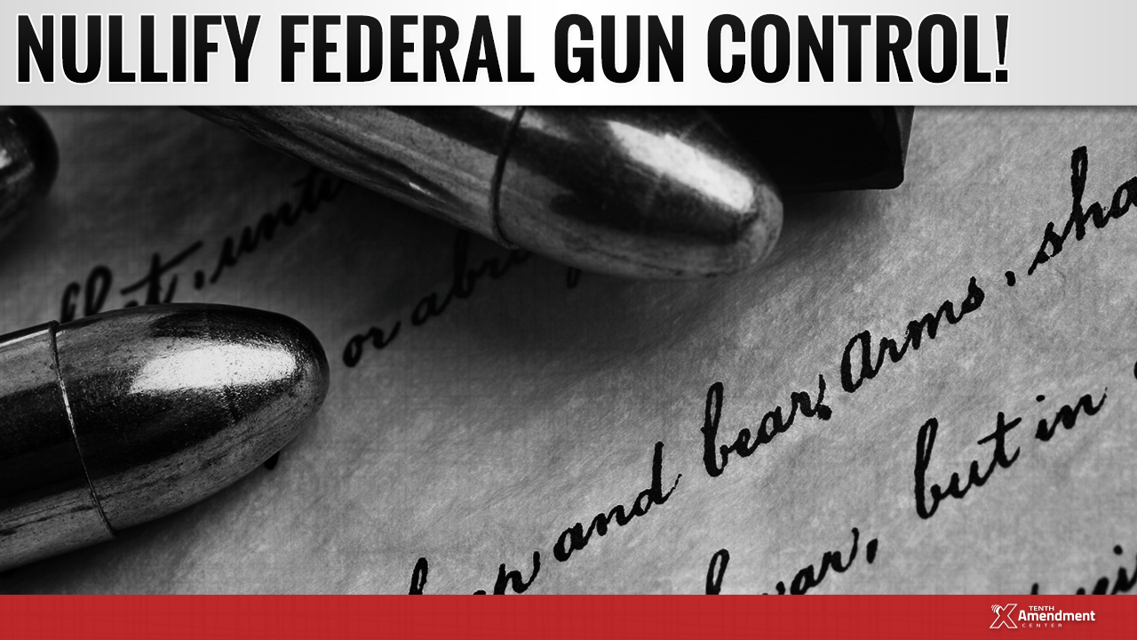 Nullify Chapter 16: Three Steps to Stop Federal Gun Control