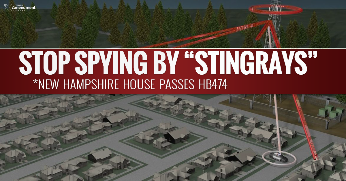 New Hampshire House Passes Bill to Prohibit Warrantless Stingray Spying