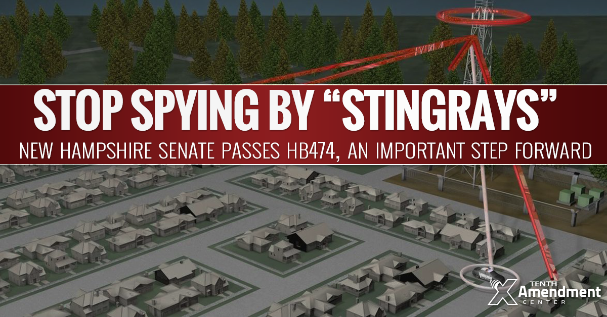New Hampshire Senate Passes Bill to Prohibit Warrantless Stingray Spying