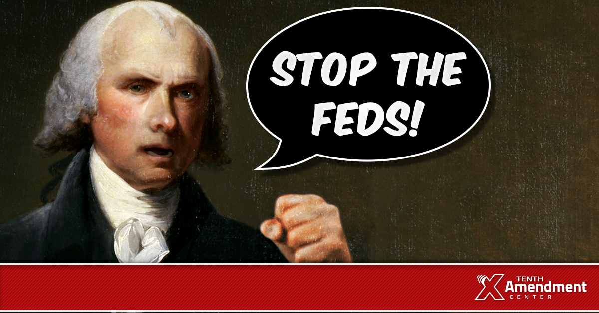 What James Madison did not Advise to Stop Federal Power