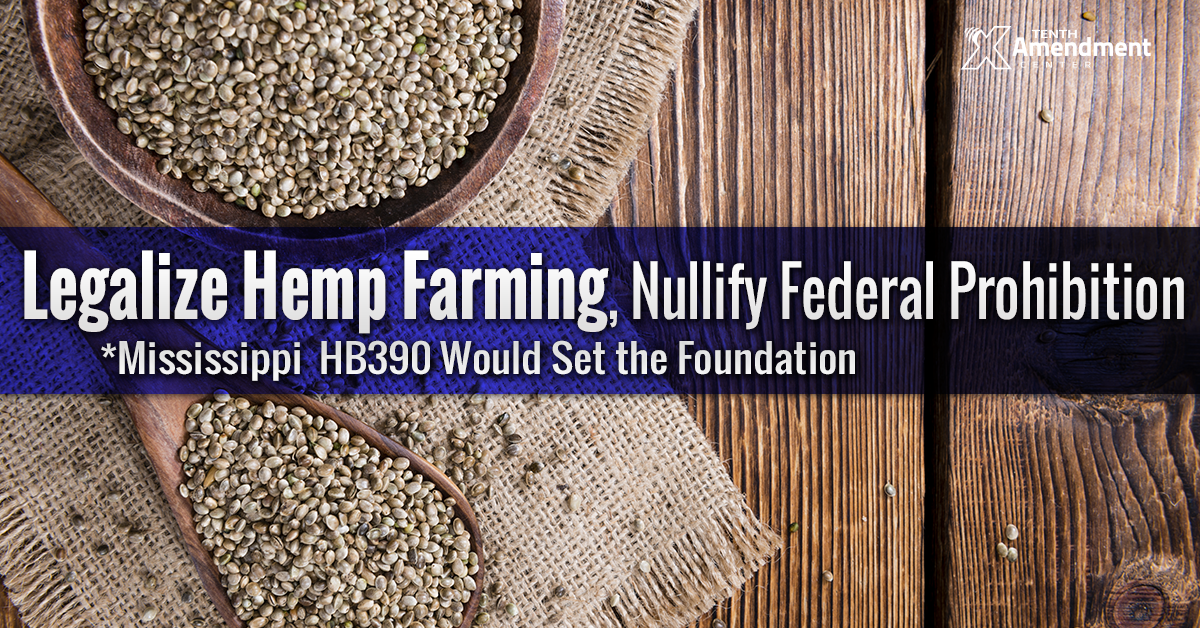 Mississippi Bill Would Legalize Industrial Hemp; Foundation to Nullify Federal Prohibition