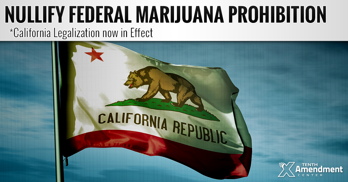 Marijuana Legalization in Effect in California; Foundation to Nullify Federal Prohibition