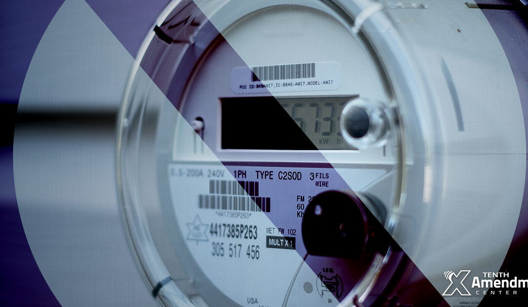 South Carolina Bill Would Allow Customers to Opt Out of Smart Meters, Undermine Federal Program