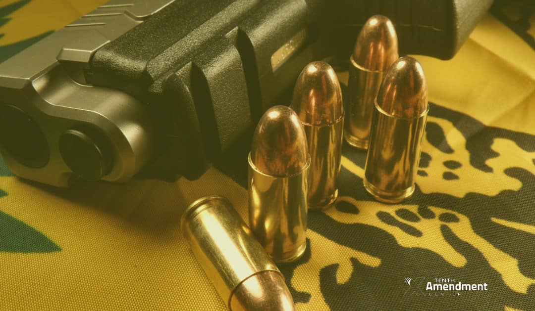 Pennsylvania Bill Would Set Foundation to Build a Gun Rights “Sanctuary State”