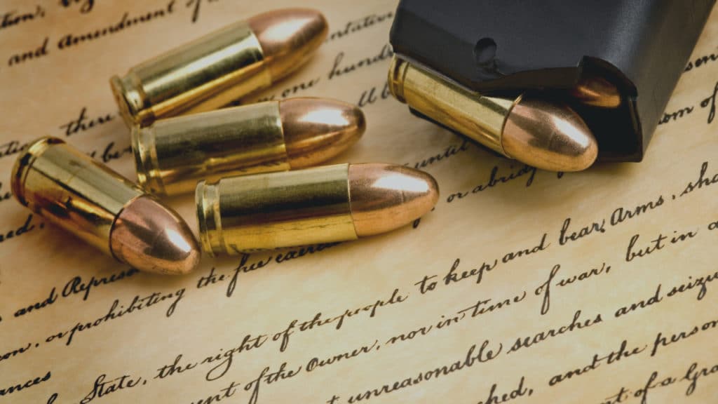 Is the Second Amendment Anachronistic?