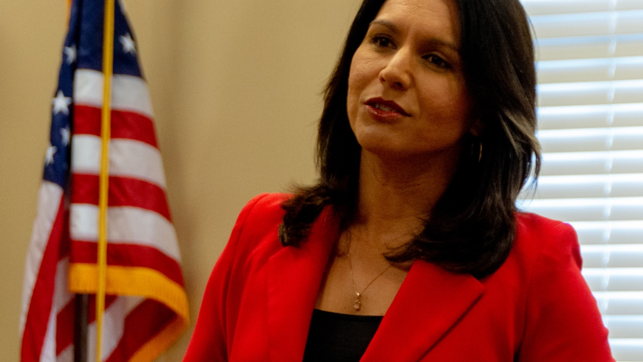 The establishment Hates Tulsi Gabbard’s foreign policy. You should Love it!