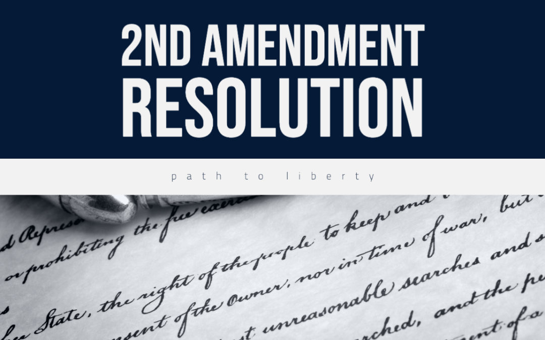 The Best “2nd Amendment” Resolution By Far…So Far?