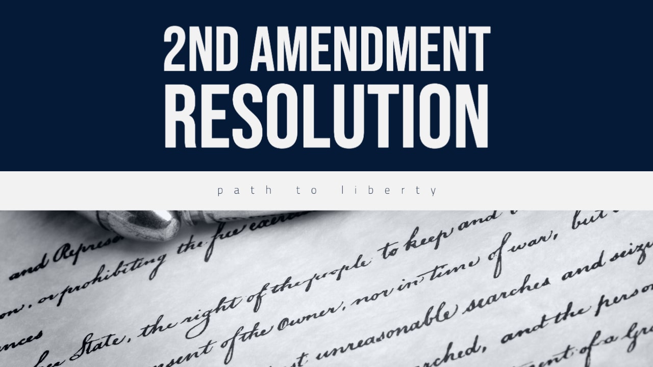 The Best "2nd Amendment" Resolution By Far...So Far?