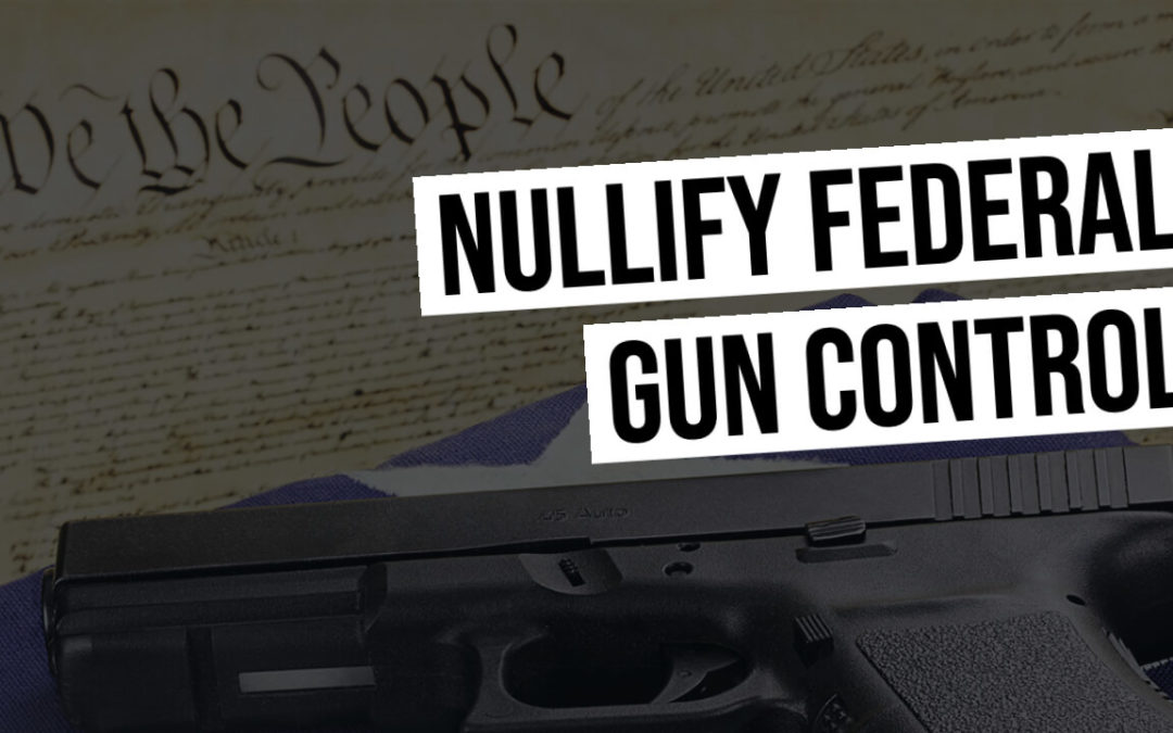 Status Report: Nullify Federal Gun Control