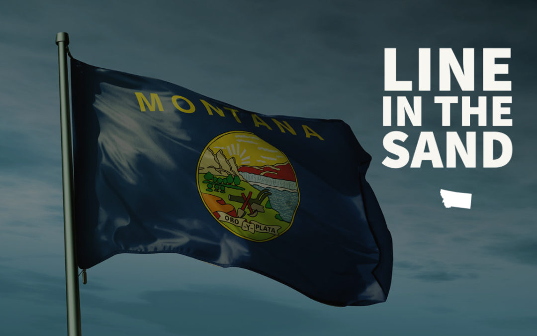 Montana Senate Committee Passes Bill to End Some Federal Gun Control Enforcement