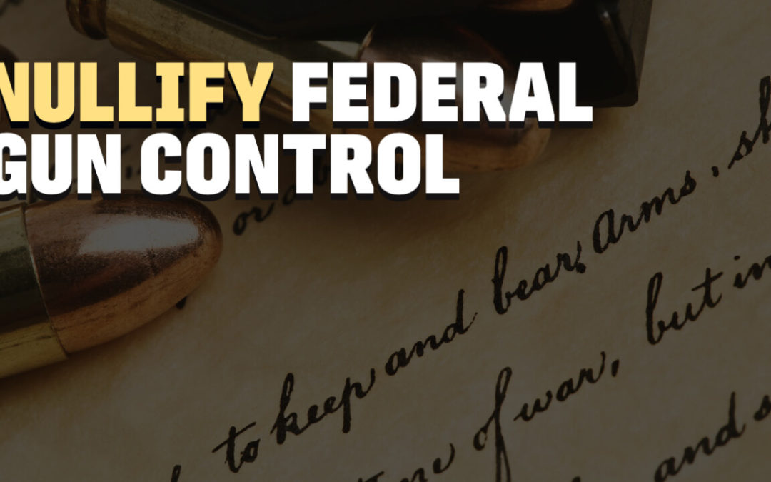 Nullify Federal Gun Control: Status Report from the States