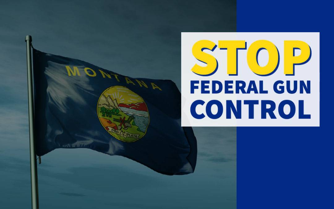 To the Governor: Montana Passes Bill to End State Enforcement of Any New Federal Gun Control