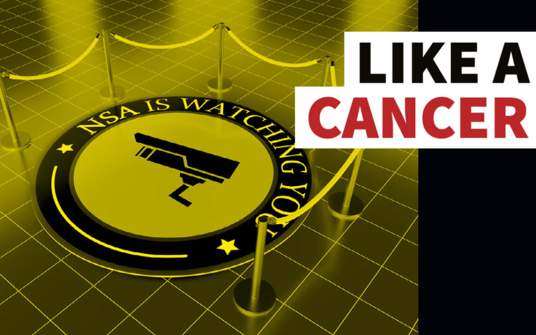 Like a Cancer: Warrantless Surveillance under Section 702